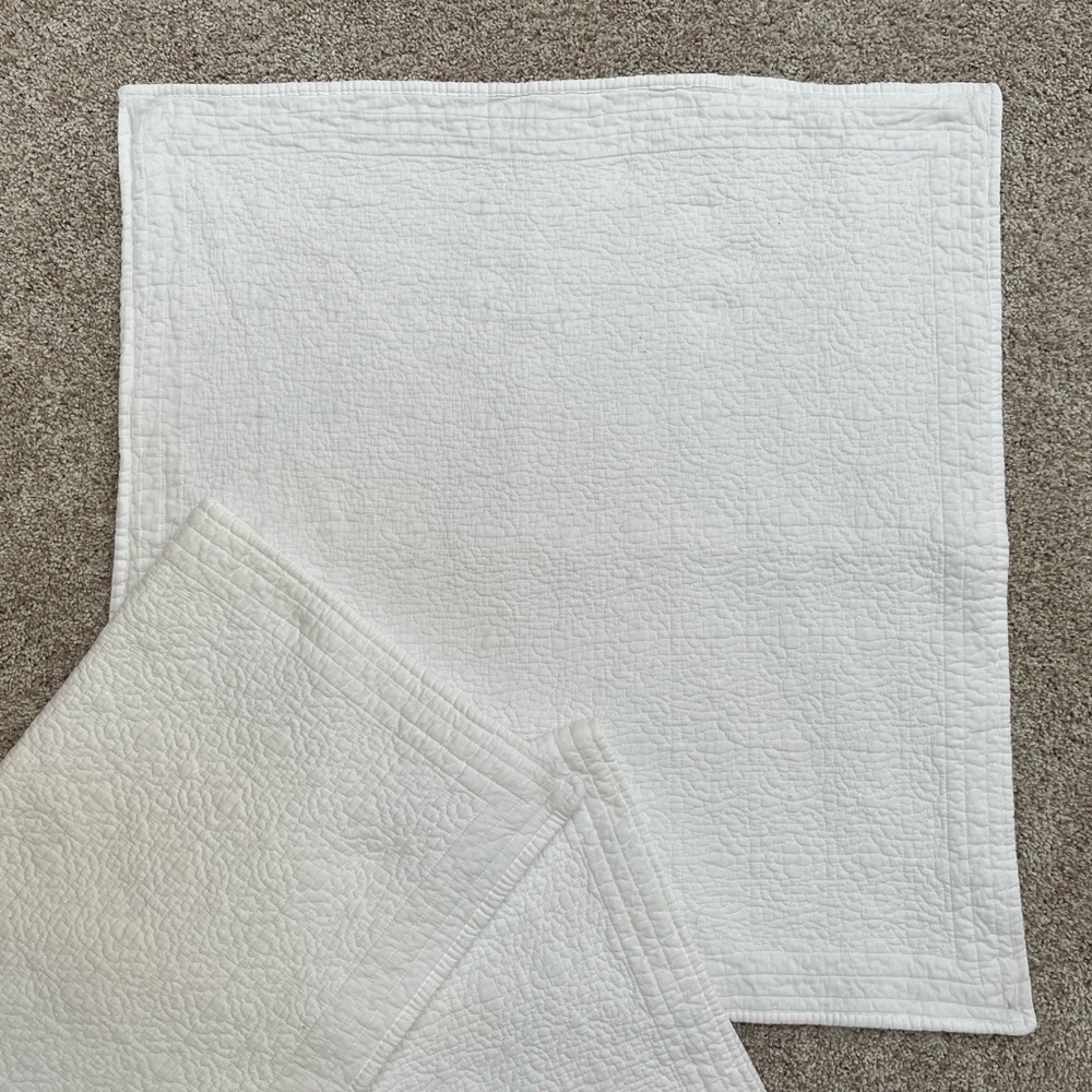 3 Restoration Hardware Euro Shams Metlasse Heirloom